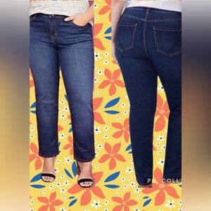 Lane Bryant Straight  Jeans size 24plus 43…